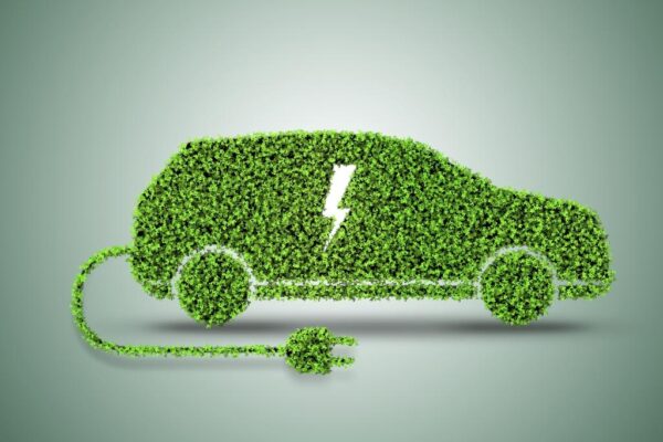 The Future of EVs in Making Green India