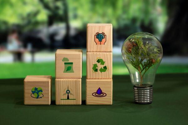 Sustainable Tech: Innovations for a Greener Future